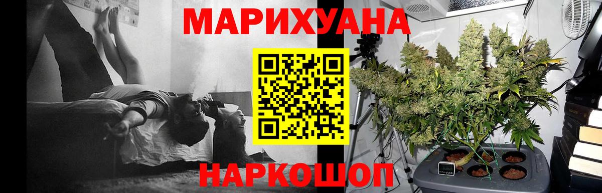 Бошки марихуана Ganja Вольск